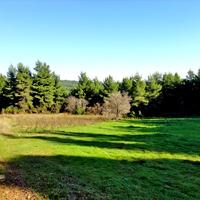 Land plot in Greece