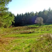 Land plot in Greece