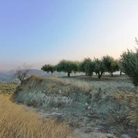 Земельный участок в Греции, Крит, Ираклион, 2600 кв.м.