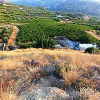 Земельный участок в Греции, Крит, Ираклион, 2600 кв.м.