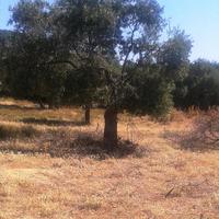 Land plot in Greece, Kavala