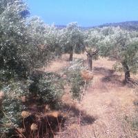 Land plot in Greece, Kavala