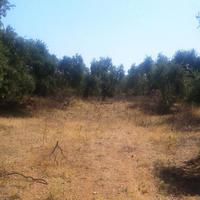 Land plot in Greece, Kavala