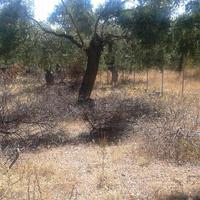 Land plot in Greece, Kavala