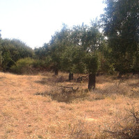 Land plot in Greece, Kavala