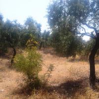 Land plot in Greece, Kavala