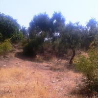 Land plot in Greece, Kavala