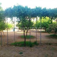 Другая коммерческая недвижимость на Кипре, Лимасол, 620 кв.м.