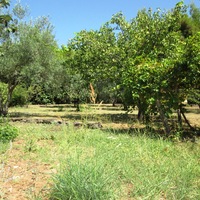 Таунхаус в Греции, Центральная Македония, Центр, 260 кв.м.