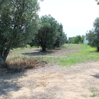 Land plot in Greece, Central Macedonia, Center