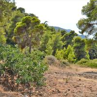Land plot in Greece, Attica, Athens