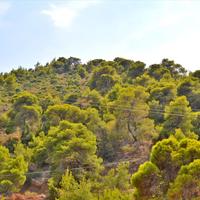 Land plot in Greece, Attica, Athens