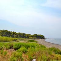Land plot in Greece, Attica, Athens