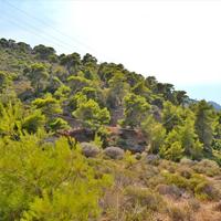 Land plot in Greece, Attica, Athens