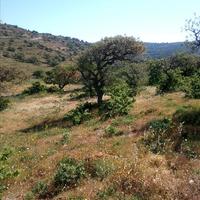 Land plot in Greece