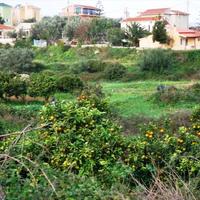 Land plot in Greece, Ionian Islands