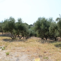 Other in Greece, Dode, 146 sq.m.