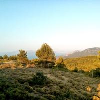 Земельный участок в Греции, Аттика, Афины