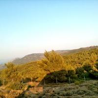 Земельный участок в Греции, Аттика, Афины