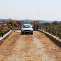 Other in Greece, Dode, 93 sq.m.