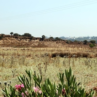 Other in Greece, Dode, 93 sq.m.