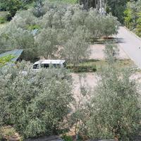 Hotel in Greece, Central Macedonia, Center, 900 sq.m.