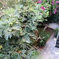 Таунхаус в Греции, Dode, 155 кв.м.