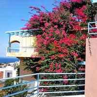 Other in Greece, Attica, Athens, 240 sq.m.