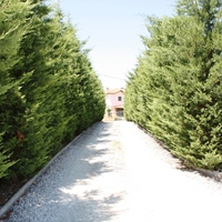 Бизнес-центр в Греции, Центральная Македония, Центр, 1000 кв.м.