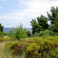 Земельный участок в Греции, Центральная Македония, Центр