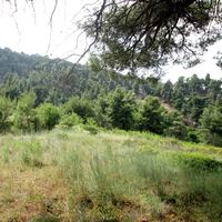 Земельный участок в Греции, Центральная Македония, Центр