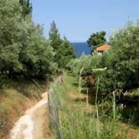 Земельный участок в Греции, Центральная Македония, Центр