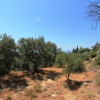 Land plot in Greece, Crete, 650 sq.m.