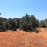 Land plot in Greece, Crete, 650 sq.m.