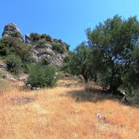 Land plot in Greece, Crete, 650 sq.m.