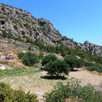 Land plot in Greece, Crete, 1700 sq.m.
