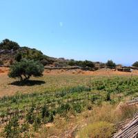 Land plot in Greece, Crete, 1700 sq.m.