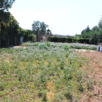 Land plot in Greece, Central Macedonia, Center