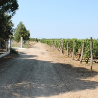 Land plot in Greece, Central Macedonia, Center
