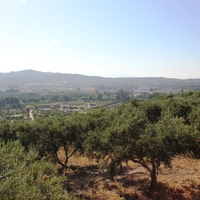 Land plot in Greece, Crete, Chania