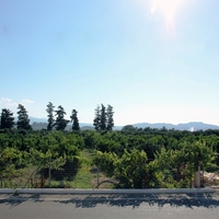 Land plot in Greece, Crete, Chania