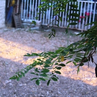 Земельный участок в Греции, Центральная Македония, Центр