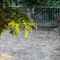 Земельный участок в Греции, Центральная Македония, Центр