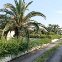 Villa in Greece, Central Macedonia, Center, 400 sq.m.