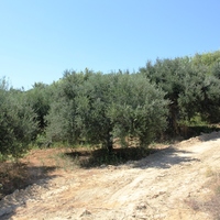 Land plot in Greece, Crete, Chania