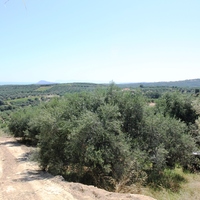 Land plot in Greece, Crete, Chania