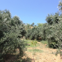 Land plot in Greece, Crete, Chania