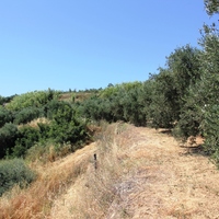 Земельный участок в Греции, Крит, Ханья