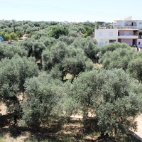 Other in Greece, Crete, Chania, 200 sq.m.