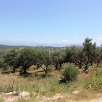 Land plot in Greece, Crete, Chania